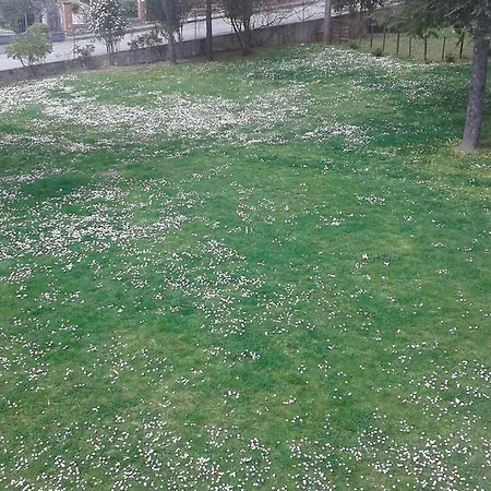 Πανσιόν La Palazzina Chiusdino